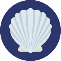 avoid clamming up